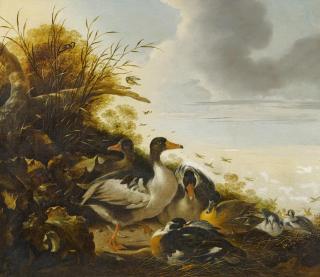 Gysbert Gillisz. de Hondecoeter - Enten am Seeufer