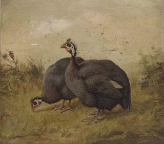 H. C. Bryant - Guinea fowl