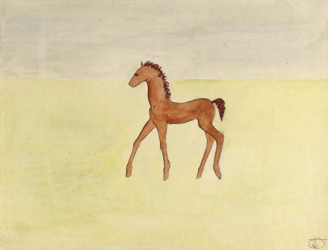 H.M. Beatrix van Oranje-Nassau - A brown pony in a field