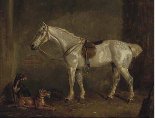 H. S. Cottrell - A saddled grey with terriers in a stable
