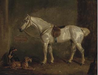 H. S. Cottrell - A saddled grey with terriers in a stable