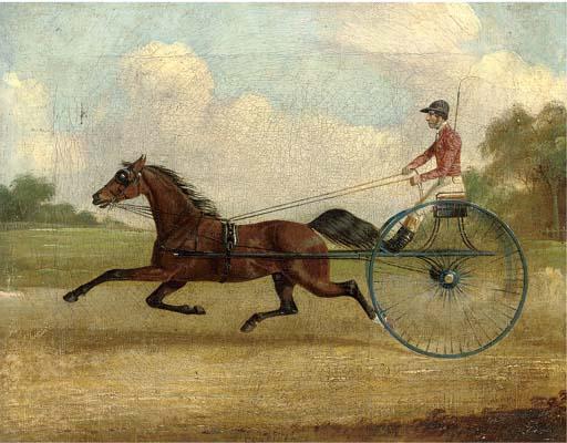 H.S. Cottrell - Mr Gills Confidence