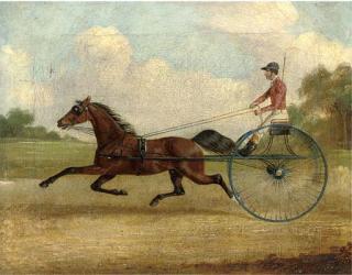 H.S. Cottrell - Mr Gills Confidence