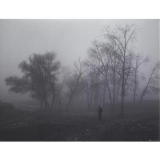 Hai Bo - Dense Fog