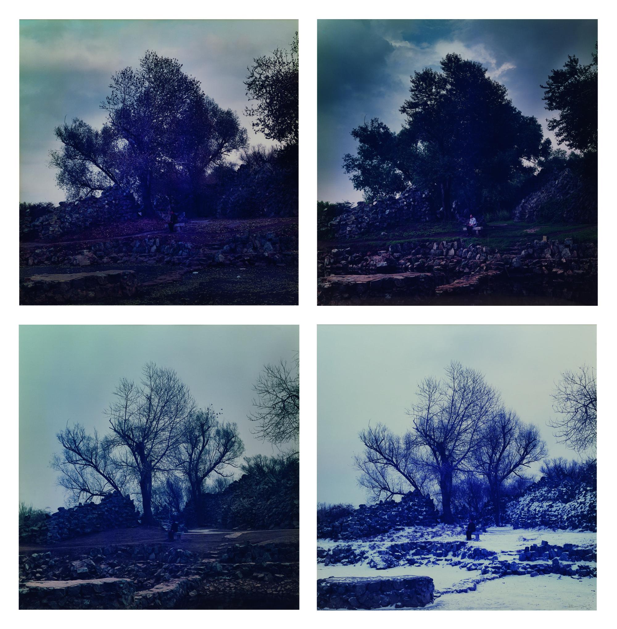 Hai Bo - Four Seasons - Spring, Summer, Fall, Winter (Set Of Four)