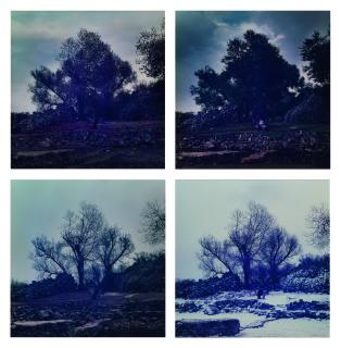 Hai Bo - Four Seasons - Spring, Summer, Fall, Winter (Set Of Four)