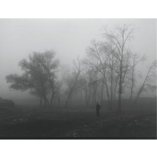 Hai Bo - The Northern Series No. 14 (Dense Fog)