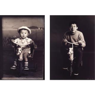 Hai Bo - Wooden Horse (Diptych)