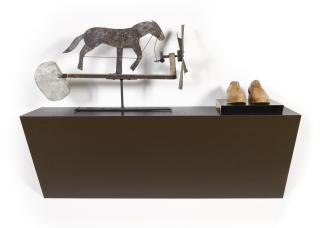 Haim Steinbach - Common Standard