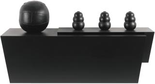 Haim Steinbach - Everlast Kong Iii - 1