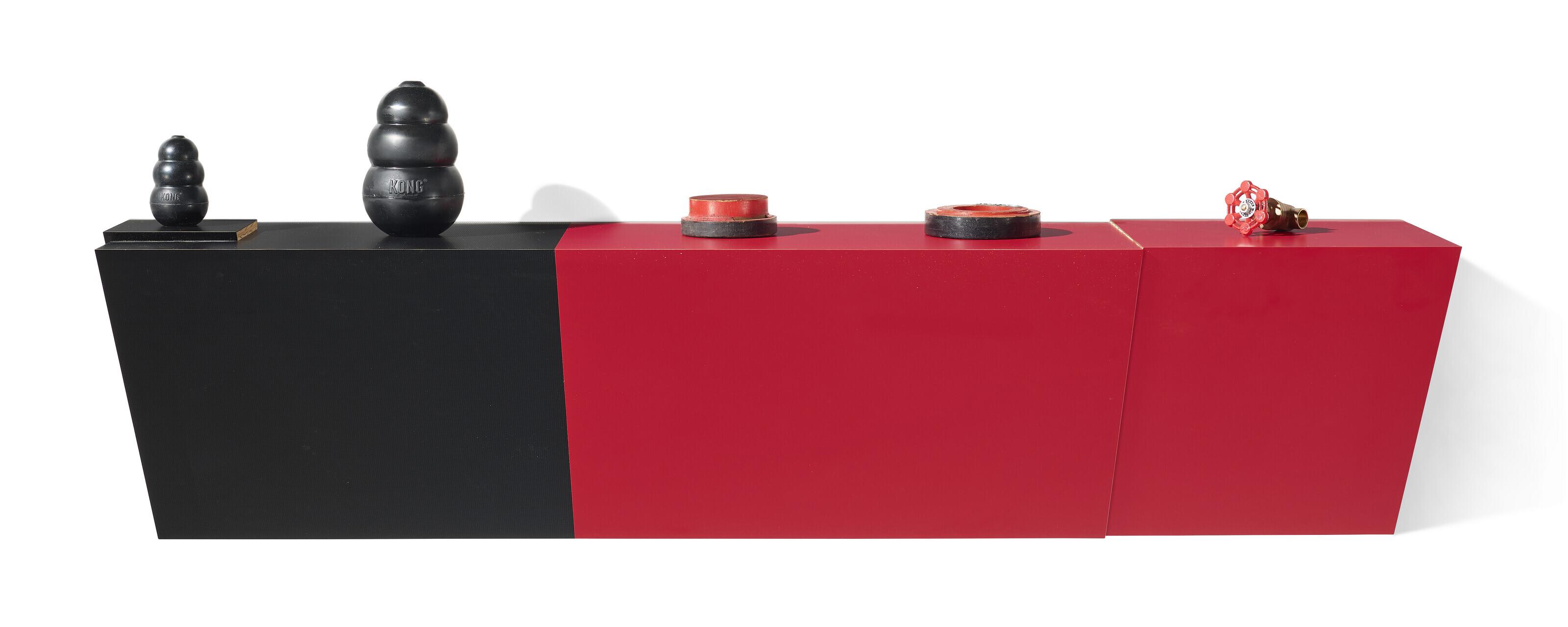 Haim Steinbach - popular mechanics