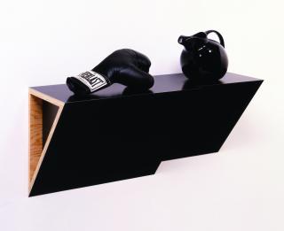 Haim Steinbach - Ten Second Memos #4