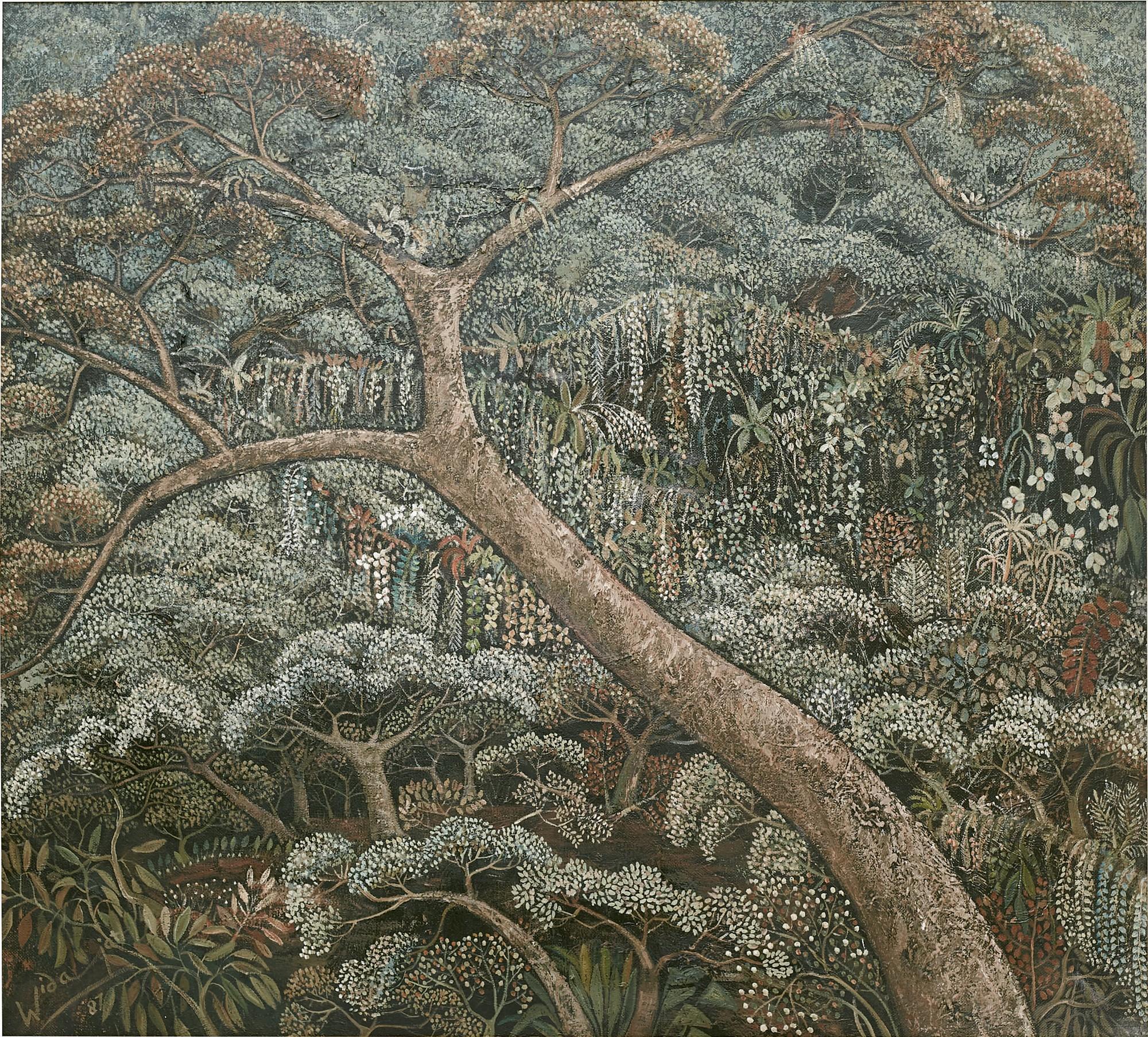 Haji Widayat - Anggrek Hutan (Forest Orchids)