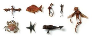 Hajime Emoto - Deme-tai; Evil Beast g-1; Evil Beast h-1; Hitode-uo; Homo Pumilus Gidoronlegio; Hotate-gani; Invidia Miguel; & Superbia Miguel