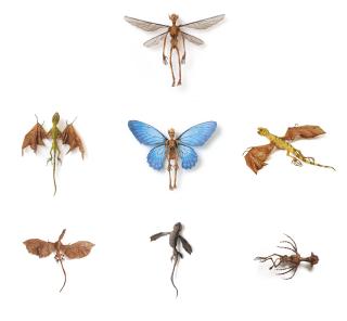 Hajime Emoto - Homo Pumilus Gidoronia (Male); Draconis Smaragdus; Homo Pumilus Gidoronia (Female); Dragon; Red Wyvern; Sea Serpent ; & Luxuria/Miguel