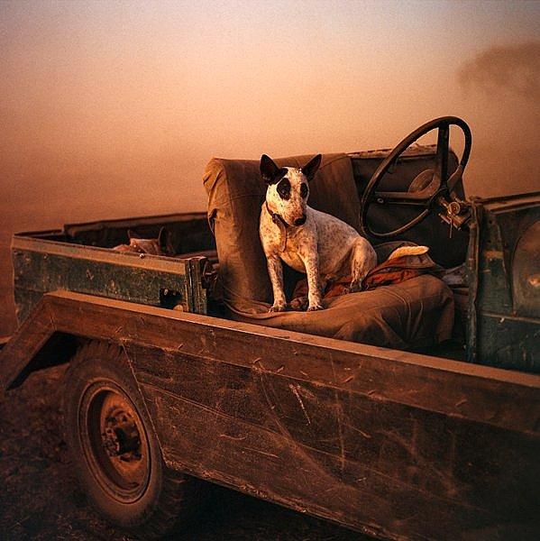 Håkan Ludwigson - \