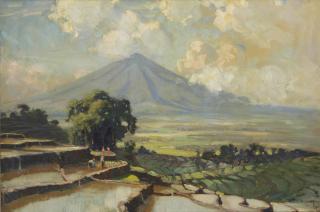 Hal Wichers - Rice paddies in Sawah, Java, with the Merapi in the distance