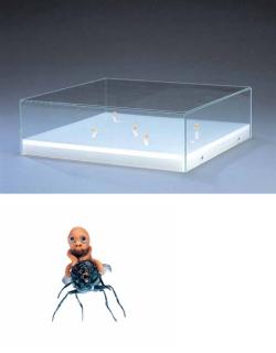 Ham Jin - Aewan Series-Love #1