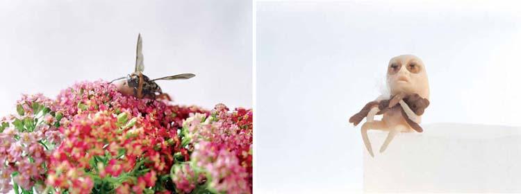 Ham Jin - Aewan Series -Love #3