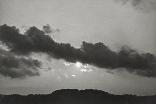 Hamish Fulton - Circular Walks, Slaybrook Wood, Kent, 1976