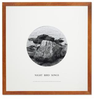 Hamish Fulton - Night Bird Songs