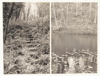 Hamish Fulton - Untitled