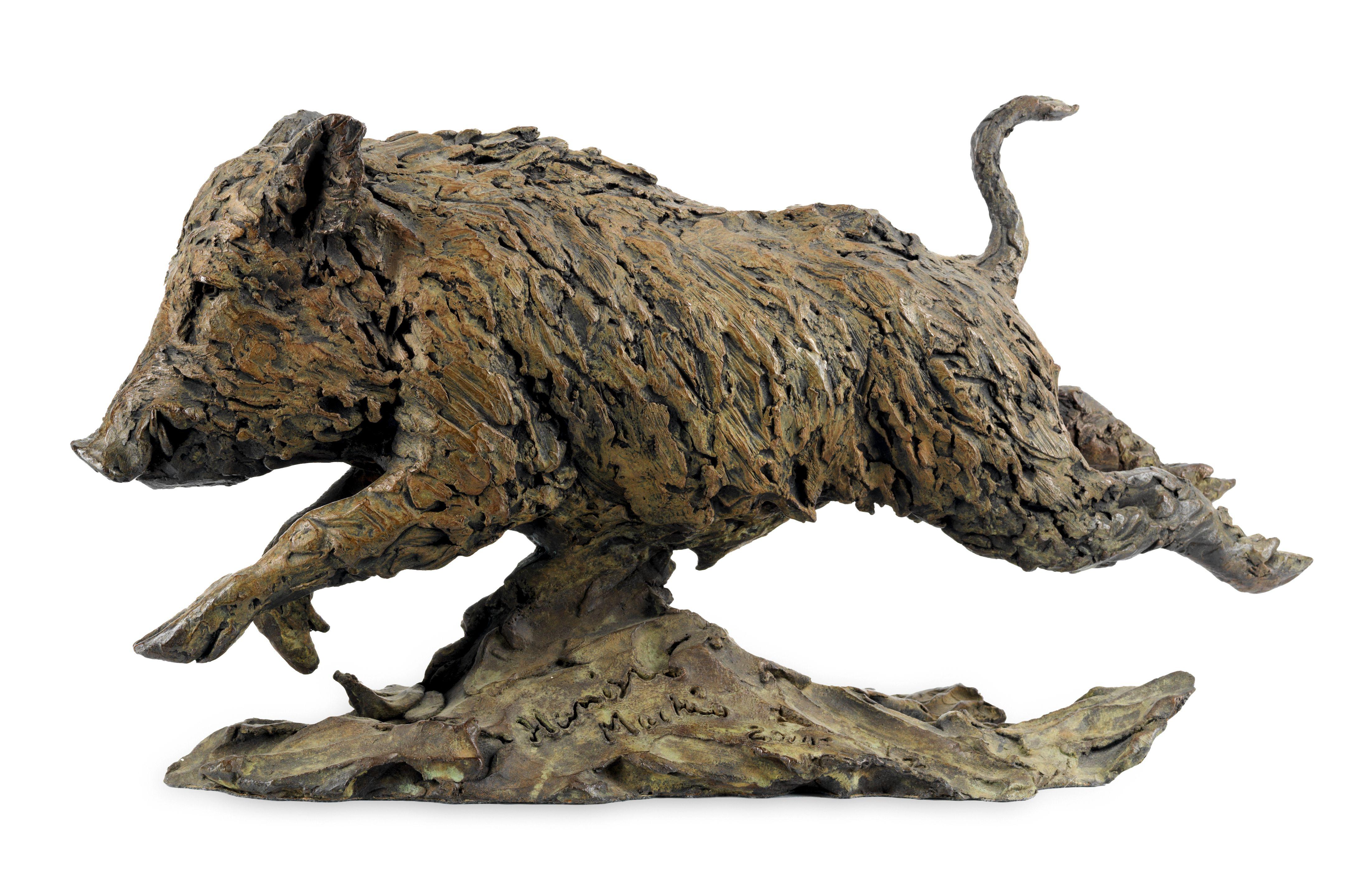 Hamish Mackie - Wild Boar Dart