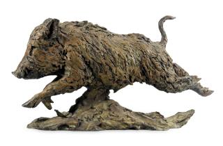 Hamish Mackie - Wild Boar Dart