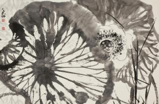 Han Tianheng - Lotus