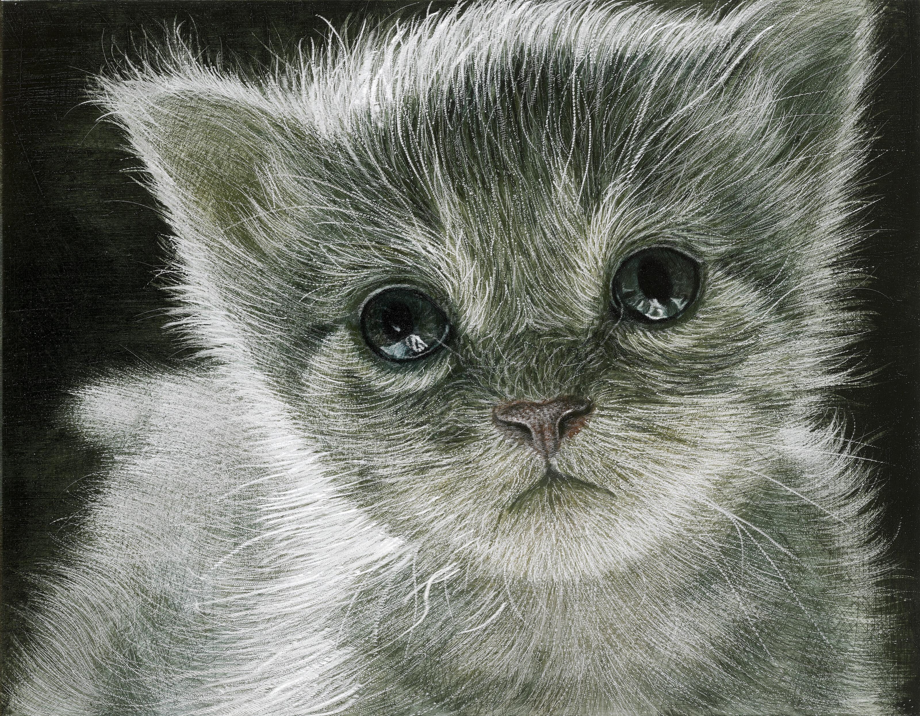 Han Young Wook - Cat