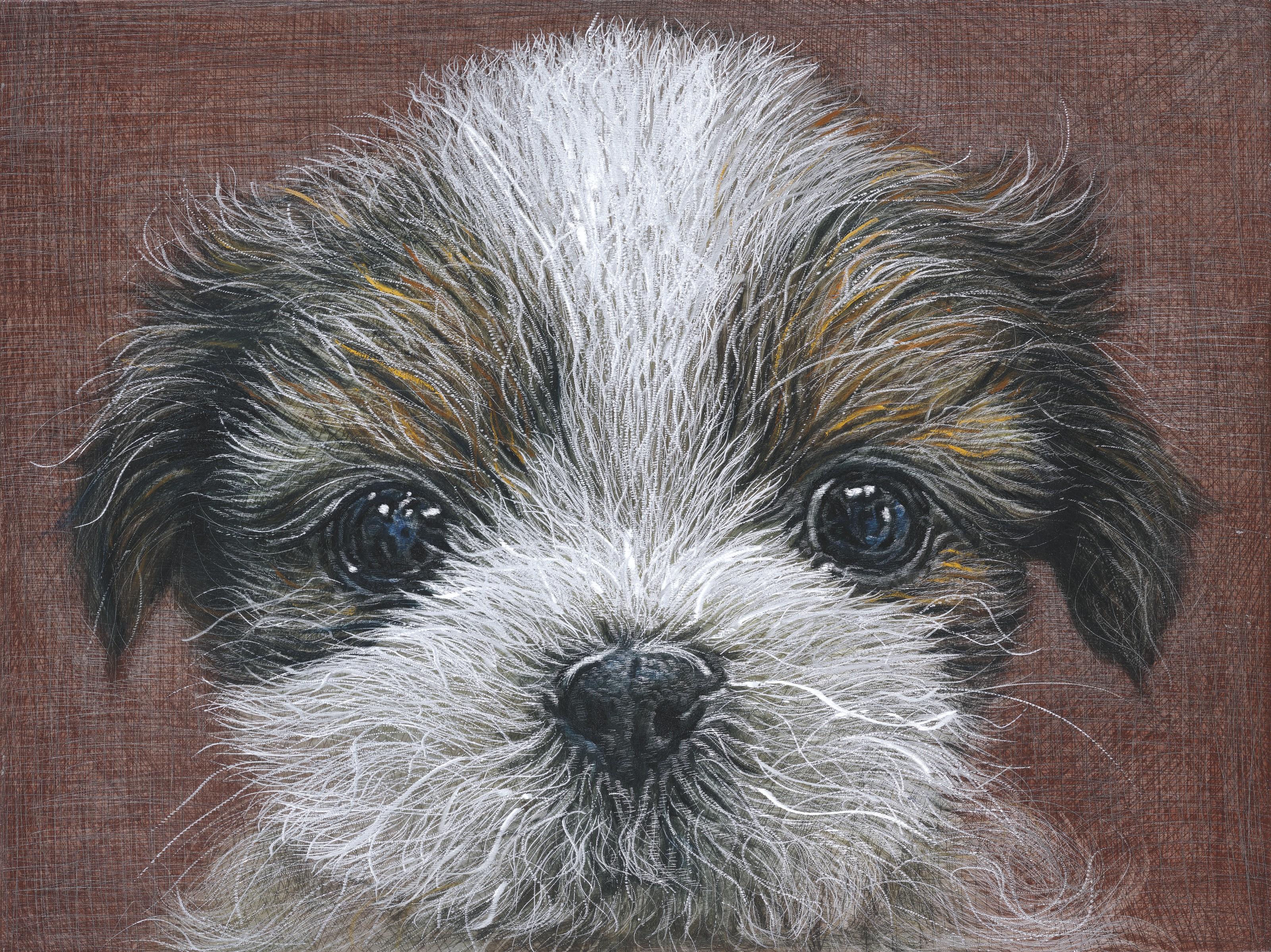 Han Young Wook - Dog