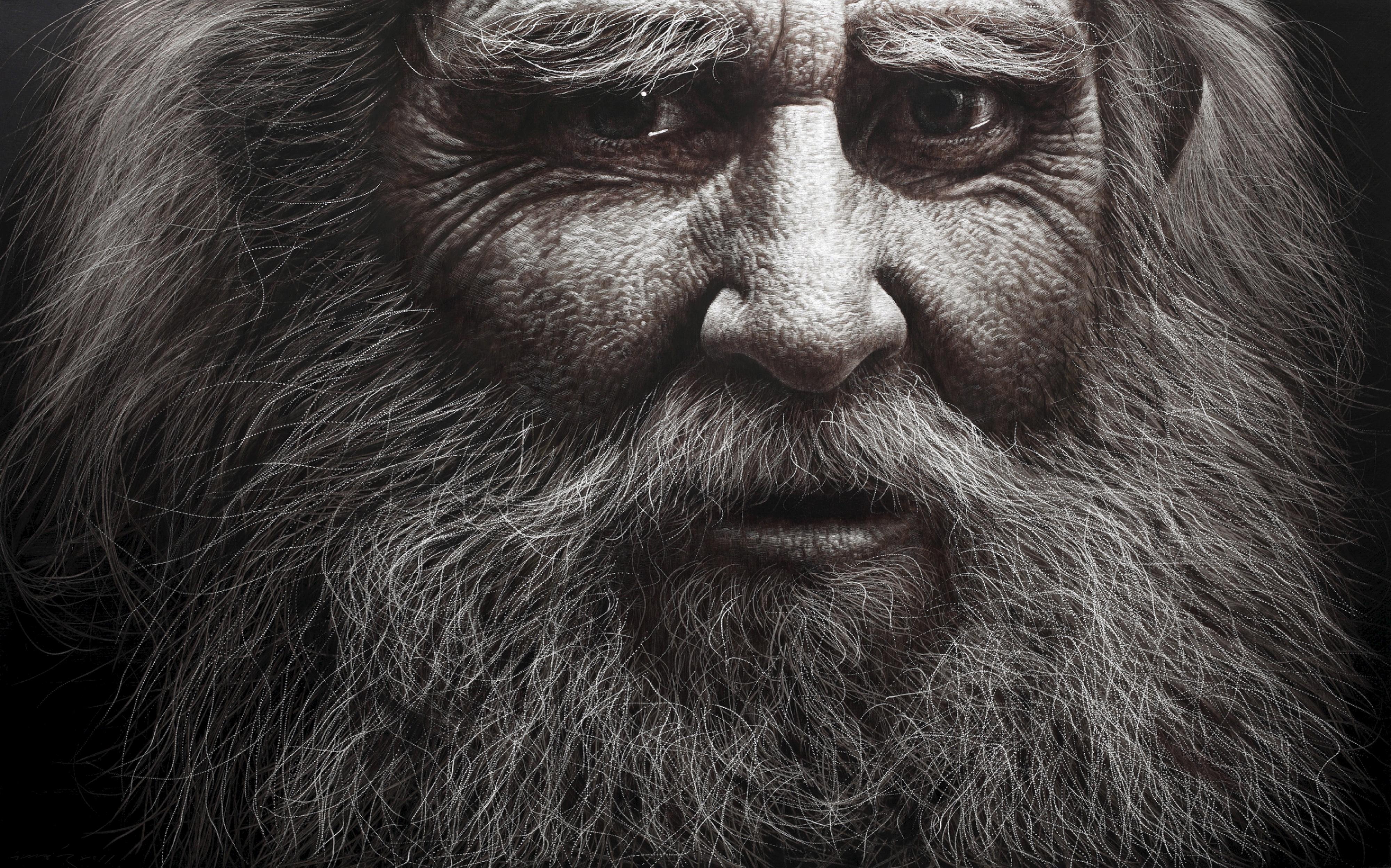 Han Young Wook - Face