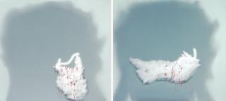 Handiwirman Saputra - Membayang  (Imagining)