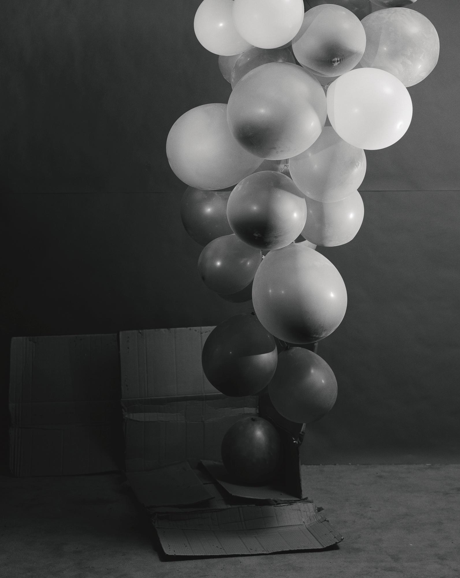 Hannah Collins - Grapes