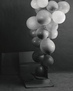 Hannah Collins - Grapes