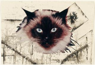 Hannah Höch - Perser