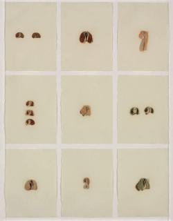 Hannah Wilke - Untitled