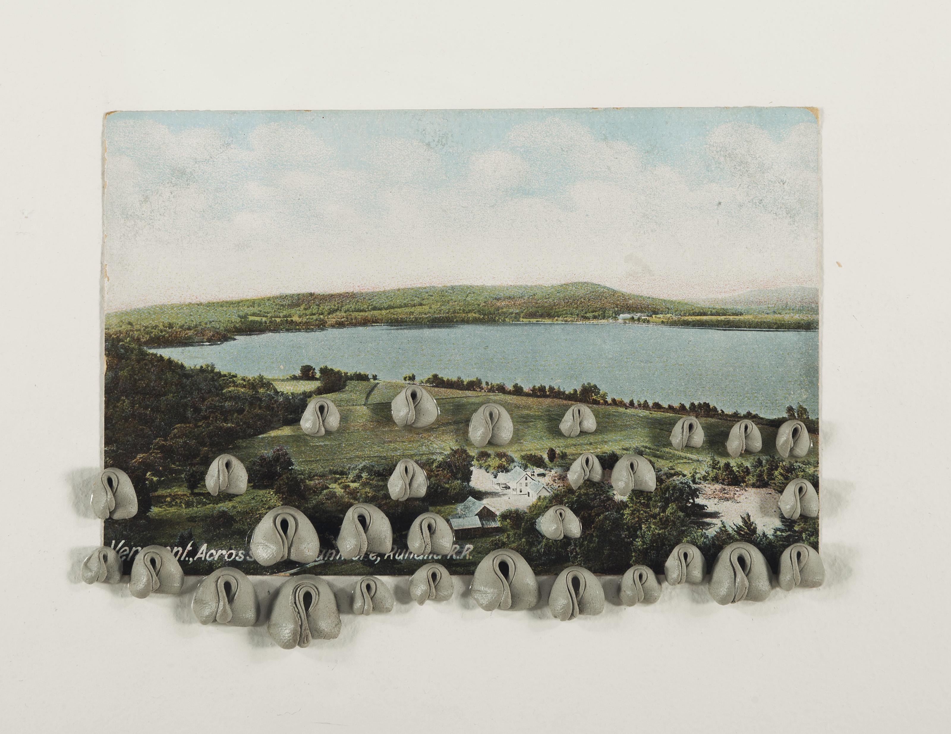 Hannah Wilke - Vermont