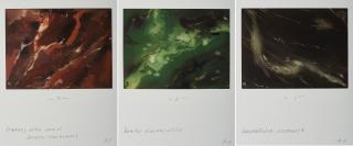 Hanne Darboven - Künstlicher Marmor / Neuenfelde / Hamburg Elbe Nord.