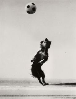 Hannes Kilian - Immer am Ball bleiben!