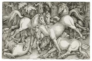 Hans Baldung - Group of seven Horses
