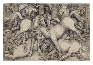 Hans Baldung - Group of seven Horses