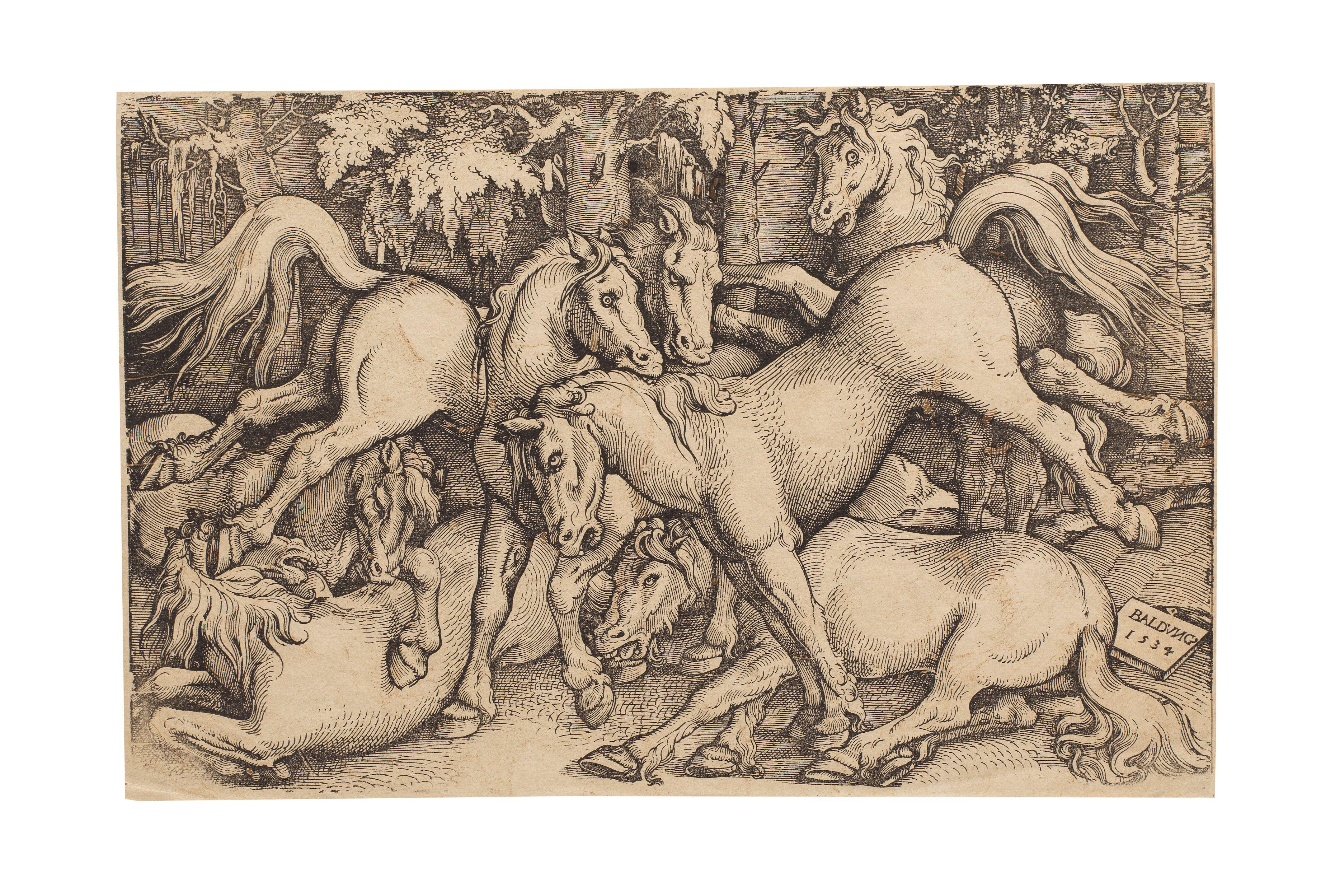 Hans Baldung - Group of Seven Wild Horses