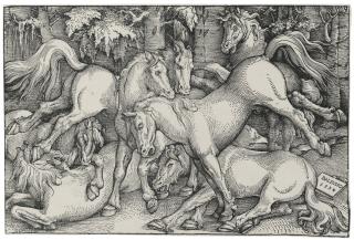 Hans Baldung - Group Of Six And Seven Horses (Hollstein 238-240)