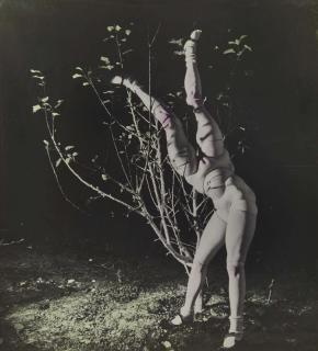 Hans Bellmer - Deux Demi-Soeurs, Vers 1933-1935