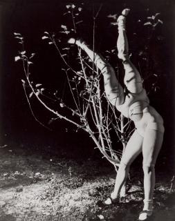 Hans Bellmer - \'La Poupée\', 1935