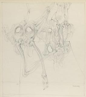 Hans Bellmer - Sans titre