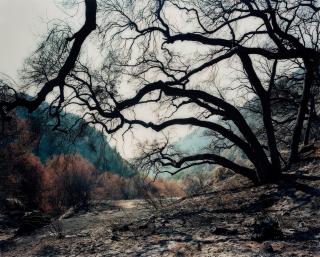 Hans-Christian Schink - Glendora Canyon
