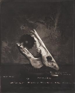 Hans Gedda - Untitled, 2017