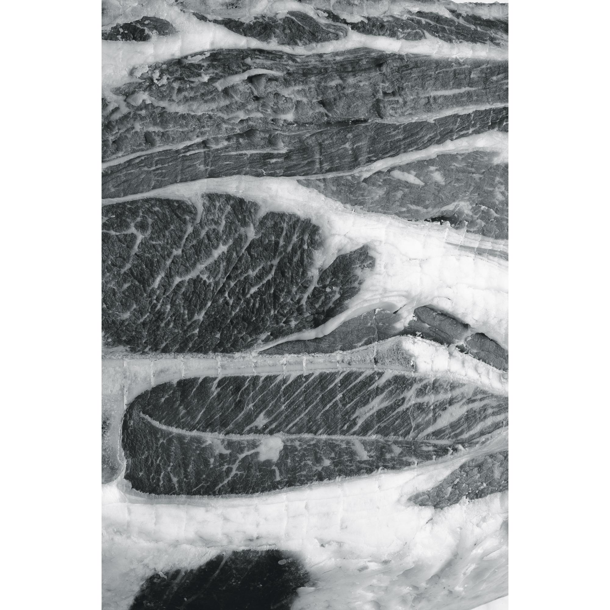 Hans Gissinger - Muscle No.2